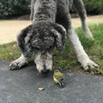 Profile Picture of Justin (@justinshelly26) on Instagram