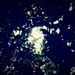 Profile Picture of TheBestSide (@lorenzhausner) on Pinterest