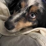 Profile Picture of Lisa Bucy DiFrancesco (@ledifrancesco) on Instagram