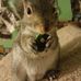 Profile Picture of Bill Conkey (@bill.conkey.376) on Facebook