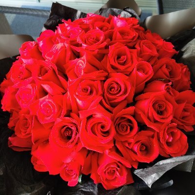 Profile Picture of Bob. Xiong (@Bobxiong7) on Twitter