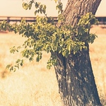 Profile Picture of Jon Miller (@jon alexander miller) on Flickr