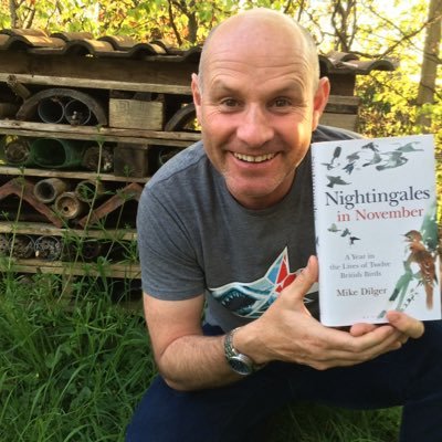 Profile Picture of Mike Dilger (@DilgerTV) on Twitter