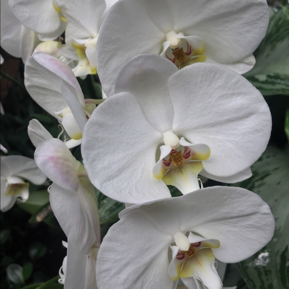 Profile Picture of Autumn Tigart (@junebug_mt) on Poshmark