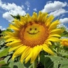 Profile Picture of friendbranch (@@friendbranch) on Tiktok