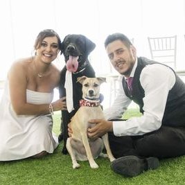 Profile Picture of Daniel Merino (@danielmerinoc) on Twitter