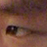 Profile Picture of Joe Bright (@symphillum) on Flickr