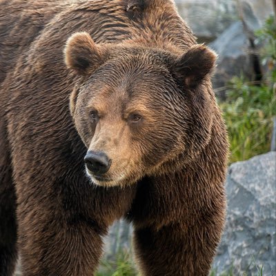 Profile Picture of Marc Jager (@MarcJager1) on Twitter