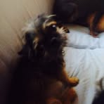 Profile Picture of Wesley Odell (@wesley.odell.33) on Facebook