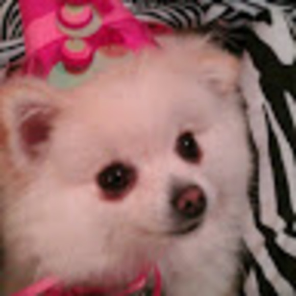 Profile Picture of Alicia Lara (@alicialara121) on Poshmark