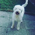 Profile Picture of Michael Tumulty (@michaeltumulty5) on Instagram