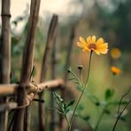 Profile Picture of Tatiana Gregorio (@tlc.jimenes) on Facebook