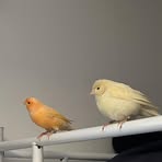 Profile Picture of James Platt (@james.platt.3990) on Facebook