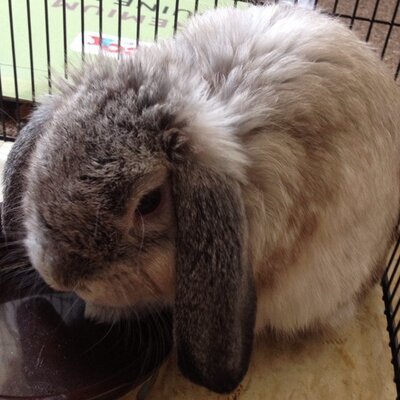 Profile Picture of Jimmy Cruise (@JimmyCruise69) on Twitter