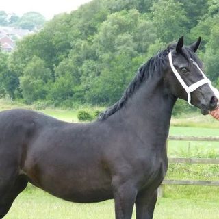 Profile Picture of Mandy Garratt (@mandy.garratt2) on Facebook