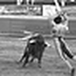 Profile Picture of Antonio Arredondo (@antonio arredondo ruanova) on Flickr