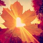 Profile Picture of Krista Dougherty (@krista.dougherty) on Instagram