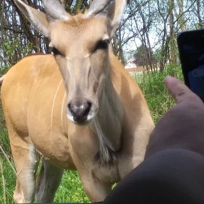 Profile Picture of Matthew Hinman (@MatthewHinman8) on Twitter