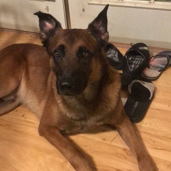 Profile Picture of Tanner Moody (@tannermoody149) on Poshmark