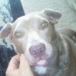 Profile Picture of Bob Brinkley (@bobbrinkleyfun) on Instagram