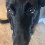 Profile Picture of Quentin Myles (@quentin.myles.2025) on Facebook