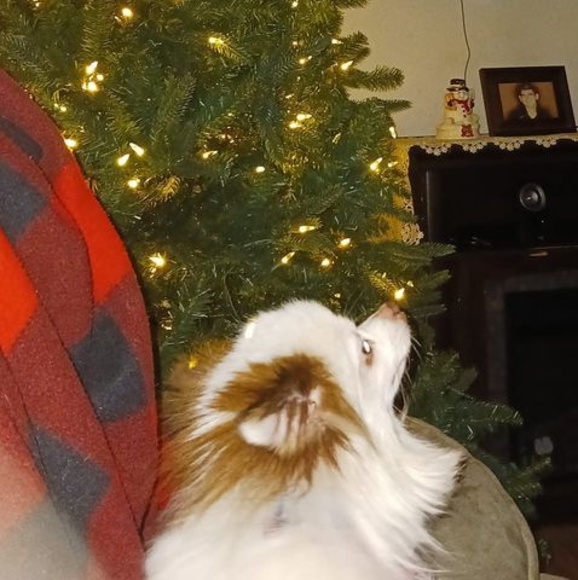 Profile Picture of Patricia Balinskii (@pbalinski46) on Poshmark