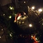 Maria Assinger - Instagram Profile Picture of Maria Assinger (@maria.assinger) on Instagram