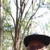 Profile Picture of Ryan Craighead (@ryan.craighead.10) on Facebook