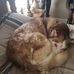 Profile Picture of Jim Heisler (@jim.heisler.100) on Facebook