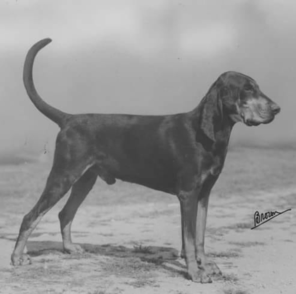 Profile Picture of Mark Crosby (@jcrosby153) on Poshmark