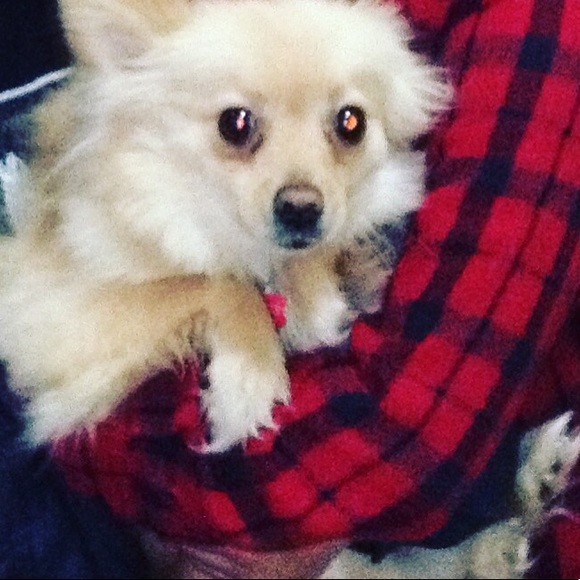 Brandon Keeley - Poshmark Profile Picture of Brandon Keeley (@brandonkeeley) on Poshmark