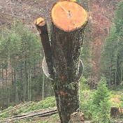 Profile Picture of Thomas Kincaid (@thomaskincaid7791) on Youtube