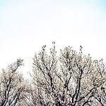 Profile Picture of Bomi Kim (@bomikim381) on Flickr