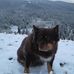Profile Picture of Ralph Marts (@ralph.marts.9) on Facebook