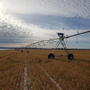 Profile Picture of Ed kron (@ed.kron) on Tiktok