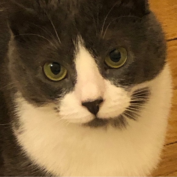 Profile Picture of Yasmine Avent (@frugal31ladi) on Poshmark