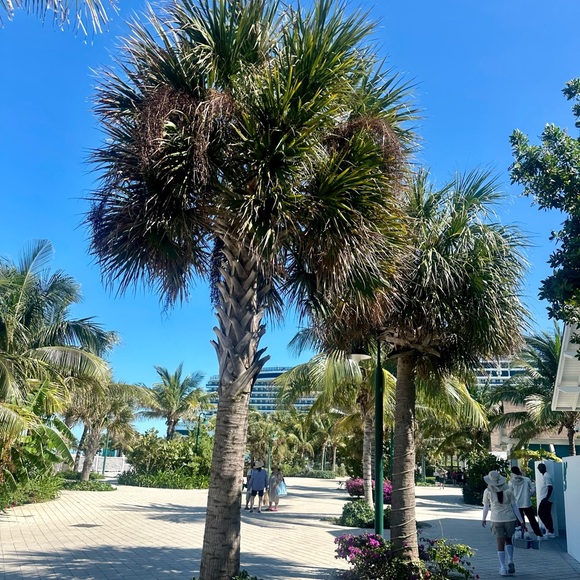 Profile Picture of Cass Grenci (@cassgrenci) on Poshmark