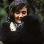 Profile Picture of Dian Fossey (@dia_nfossey) on Instagram