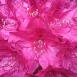 Profile Picture of Stephen Farrington (@stephenf629) on Instagram