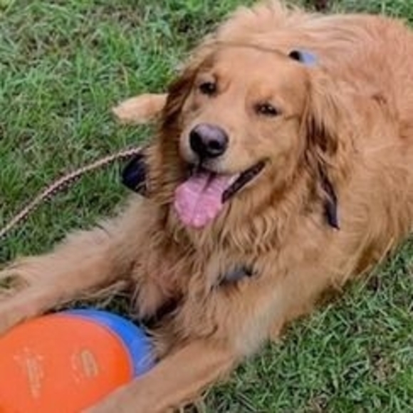 Profile Picture of Jay Curtis (@skaminoff) on Poshmark