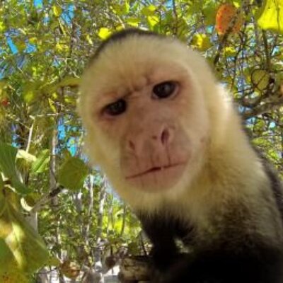 Profile Picture of Albert Yoon (@albertyoon) on Twitter