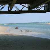 Profile Picture of Jason Teeter (@TheJasonteeter) on Youtube