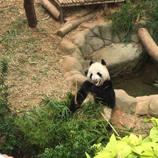 Profile Picture of Simon Toh (@simon.toh.9887) on Facebook
