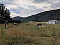 Profile Picture of Araluen, New South Waleson Wikipedia
