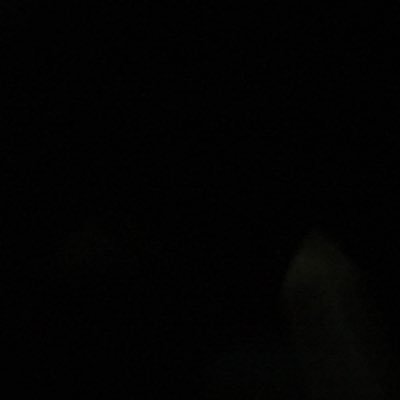 Profile Picture of Kate Oconnell (@KateOco57833977) on Twitter
