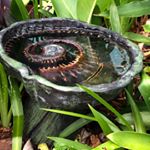 Profile Picture of Macon Clay (@macon_clay) on Instagram