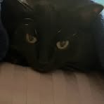 Profile Picture of Josh Ament (@Josh-Ament) on Facebook