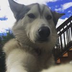 Profile Picture of Roderick Day (@rutgoff) on Instagram