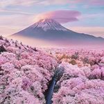 Profile Picture of simon_mokito (@simon_mokito) on Instagram