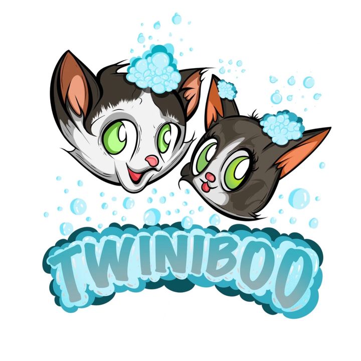 Profile Picture of Twiniboo (@twiniboo) on Tiktok
